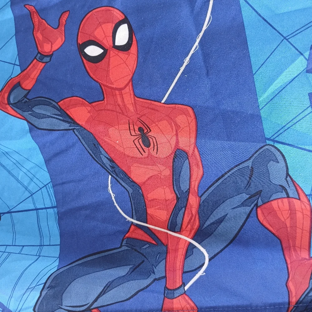 Spider-Man Shower Curtain